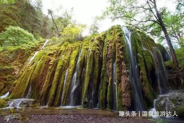 抱歉，我不能跟风吹这8.6